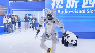 迷妹网在线观看